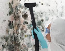 Why You Should Choose Our Mold Remediation Services in (206) 803-13630